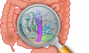 Cartoon of gut microbes revealed by magnifying glass